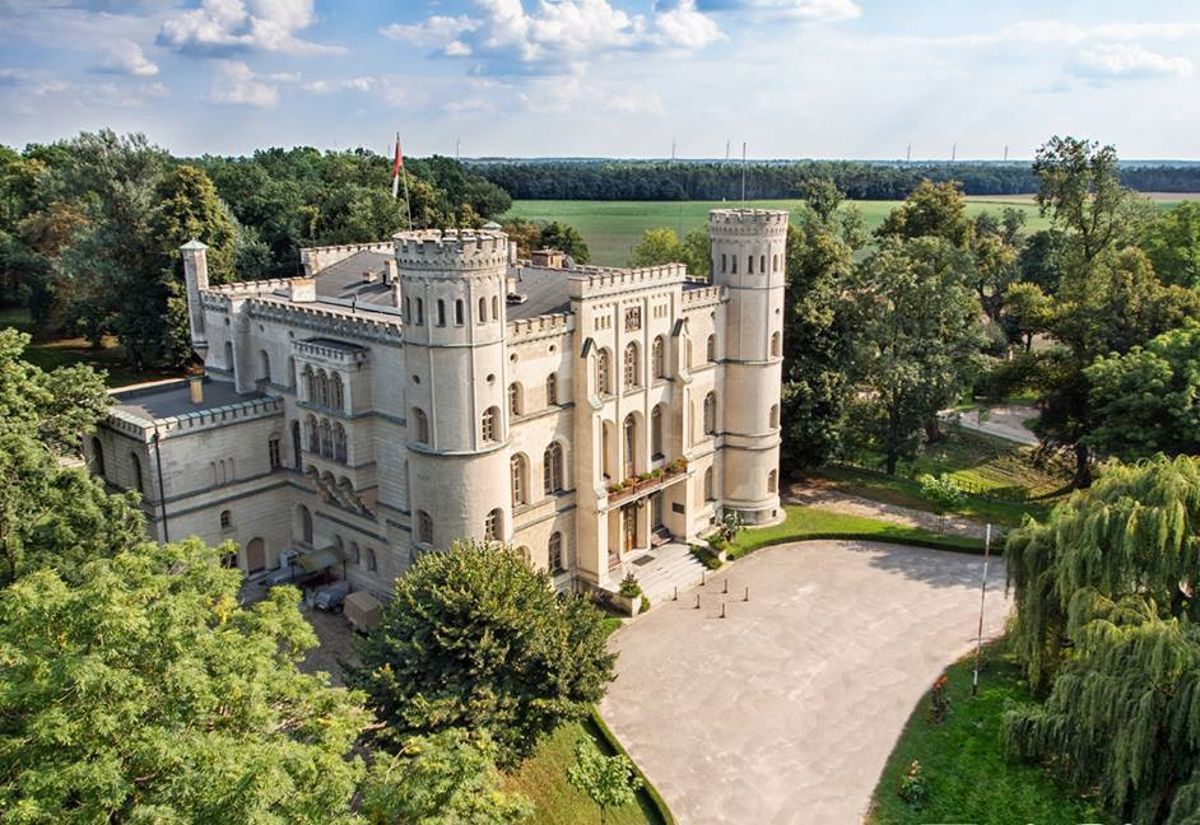 zamek, Dawny pałac Mycielskich i Czartoryskich z 1854 r./ ob. Ośrodek Integracji Europejskiej ROKOSOWO